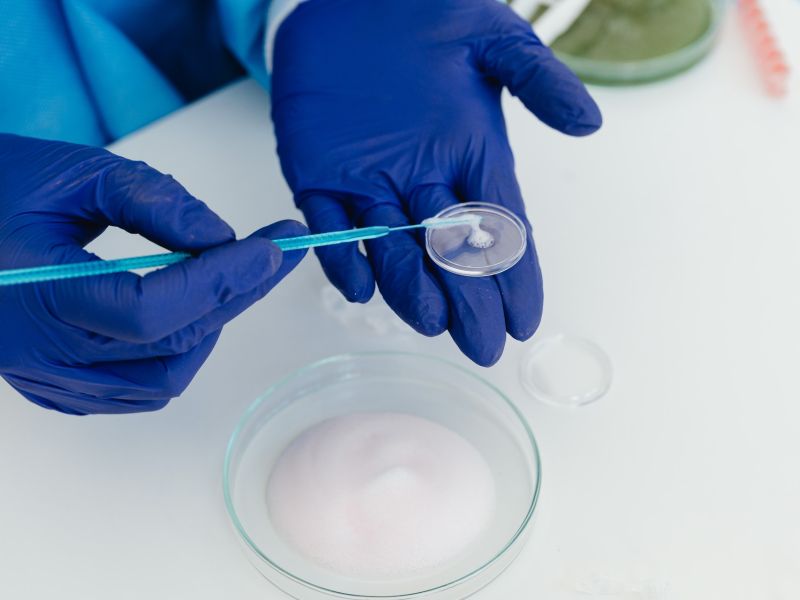 Nashville mold testing